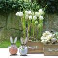 Floristik24 Dřevěný králík ve vajíčku, jarní dekorace, králíci se skleničkami, velikonoční zajíčci 3ks