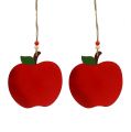 Floristik24 Krabí jablko na zavěšení 12,5cm červené 12ks