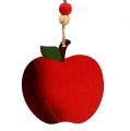 Floristik24 Krabí jablko na zavěšení 7cm červené 24ks