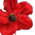 Floristik24 Dřevěná květina jako zátka červená Ø9cm - 12cm L45cm 15ks