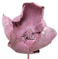 Floristik24 Dřevěná květina, Palm Cup Mix Pink-Heather 25ks