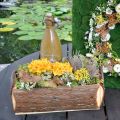 Floristik24 Dřevěný truhlík na výsadbu, květináč s uchy, truhlík na květiny s kůrou 45,5 cm