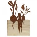 Floristik24 Dřevěný truhlík na rostliny s dekorem rzi, květináč na zeleninu 17×17×12cm