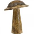 Floristik24 Dřevěná houba se vzorem deko houba přírodní, zlatá dřevěná deko Ø10cm V13cm