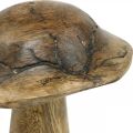 Floristik24 Dřevěná houba se vzorem deko houba přírodní, zlatá dřevěná deko Ø10cm V13cm