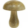Floristik24 Dřevěná houba přírodní, žluté podzimní deko dřevěné houby 12×10cm