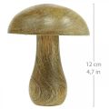 Floristik24 Dřevěná houba přírodní, žluté podzimní deko dřevěné houby 12×10cm