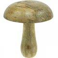 Floristik24 Dřevěná houba přírodní, žlutá dřevěná dekorace podzimní deko houby 15×13cm
