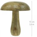 Floristik24 Dřevěná houba přírodní, žlutá dřevěná dekorace podzimní deko houby 15×13cm