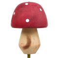 Floristik24 Dřevěná houba na tyči barevné assort. 4cm 6ks