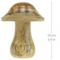 Floristik24 Dřevěná houba s drážkami Podzimní deko houba přírodní mangové dřevo 10×Ø8cm