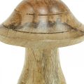 Floristik24 Dřevěná houba s drážkami Podzimní deko houba přírodní mangové dřevo 10×Ø8cm