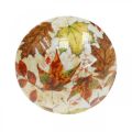 Floristik24 Dřevěná houbová dekorace podzimní listí bílá, barevná houbová dekorace na stůl Ø10cm V15cm