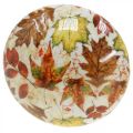 Floristik24 Dřevěná houbová deko podzimní listí bílá, barevná podzimní dekorace Ø13cm V19cm