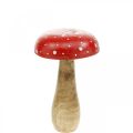 Floristik24 Muchomůrka dřevěná dekorační houba podzimní Ø12cm V19cm