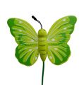 Floristik24 Dřevění motýlci na špejli 3-barevní 8cm 24ks