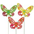 Floristik24 Dřevění motýlci na tyči v různých barvách. 9 cm