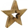 Floristik24 Dřevěná flambovaná dřevěná dekorace Vánoční hvězda stojící 15cm