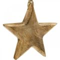 Floristik24 Dekorativní hvězda, dřevěné přívěsky, vánoční ozdoby 14cm × 14cm