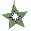 Floristik24 Dřevěná hvězda s motivy zelená 11cm 6ks