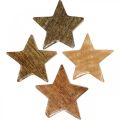 Floristik24 Dřevěné hvězdy rozptylová dekorace hvězda Vánoční příroda lesk V5cm 12 kusů