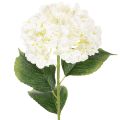 Floristik24 Umělá hortenzie s dlouhým stonkem, umělá květina 60 cm