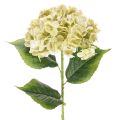 Floristik24 Umělý květ hortenzie s dlouhým stonkem a listy, 60 cm