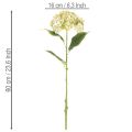 Umělý květ hortenzie s dlouhým stonkem a listy, 60 cm | Floristik24.cz