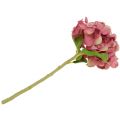 Floristik24 Umělá hortenzie tmavě růžová 36cm