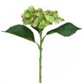 Floristik24 Umělá hortenzie, květinová dekorace, hedvábný květ zelený L44cm