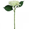 Floristik24 Hortenzie, hedvábná květina, umělá květina na stolní dekorace bílá, zelená L44cm