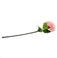 Floristik24 Hortenzie růžová L 70cm