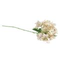 Floristik24 Hydrangea umělá smetanová zahradní květina s poupaty 52cm