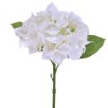 Floristik24 Hydrangea umělé bílé květy skutečného dotyku 33 cm