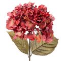 Floristik24 Umělá kvetoucí větvička hortenzie, velký květ, 74 cm