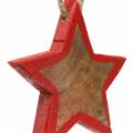 Floristik24 Vánoční dekorace dřevěná hvězda příroda / červená 8cm 15ks