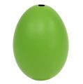 Floristik24 Slepičí vejce 5,5cm - 7cm Zelená 10ks