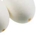 Floristik24 Slepičí vaječný bílek 10ks
