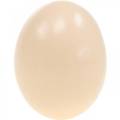 Floristik24 Krém z kuřecích vajec Velikonoční dekorace Vyfouknutá vajíčka 10ks