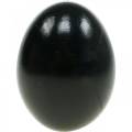Floristik24 Slepičí vajíčka Černá velikonoční dekorace Vyfouknutá vajíčka 10ks