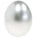 Floristik24 Slepičí vajíčka Stříbrná velikonoční dekorace Vyfouknutá vajíčka 10ks