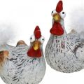 Floristik24 Easter Hens Funny Chicken Chickens Deco Ceramic 4ks