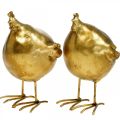 Floristik24 Deco kuře Velikonoční dekorace figurka zlatá kulatá, V10 cm 2ks