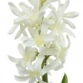 Floristik24 Umělý hyacint s cibulkou umělá květina bílá k nalepení 29cm
