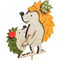 Floristik24 Květinová tyčinka ježek s dětskou podzimní dekorací dřevo 8,5cm 8ks