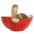 Floristik24 Ozdobná figurka ježek na houbě červeno-bílá V6cm