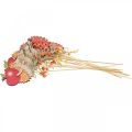 Floristik24 Květinová tyčinka ježek, dřevěná dekorace, podzimní figurka V9,5cm D32cm 12ks