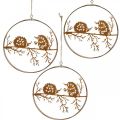 Floristik24 Kovový přívěsek, ježek na větvi, podzimní dekorace, ozdobný prsten nerez Ø15,5cm 3ks