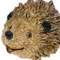 Floristik24 Ozdobná figurka ježek příroda 6,5cm
