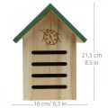 Floristik24 Hmyzí hotelové dřevo, hmyzí domeček zahradní beruška V21,5cm